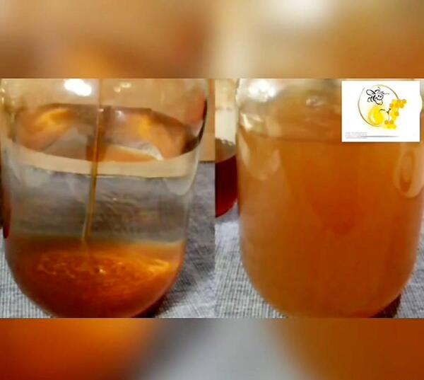 عکس عسل خودکشی در شورابیل