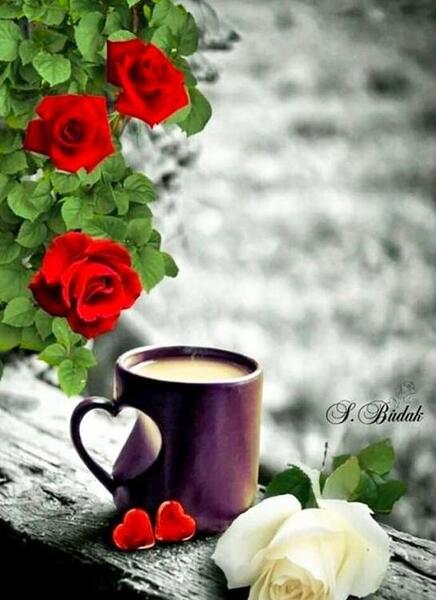 عکس طبیعت کویر ایران