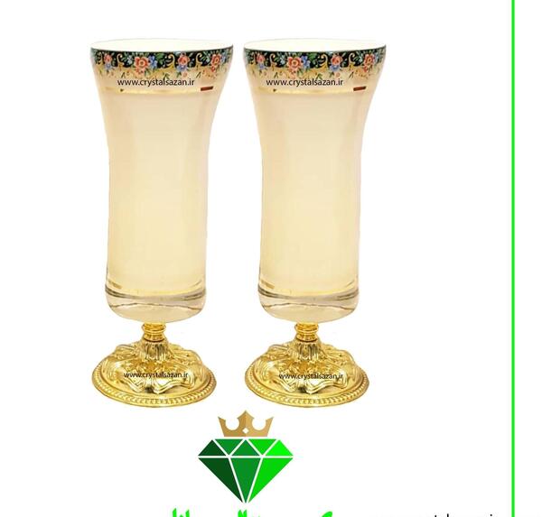 عکس مینا شیری