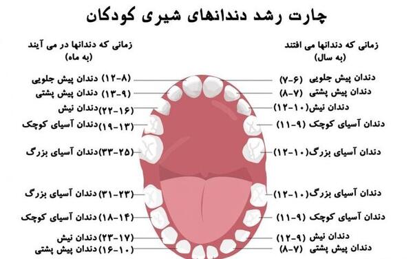 عکس مینا شیری