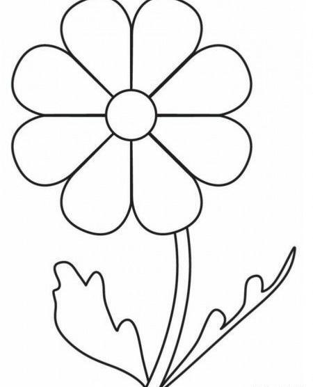 عکس غنچه آبی