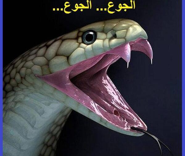عکس صاحب جهنم