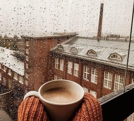 عکس قهوه در طبیعت