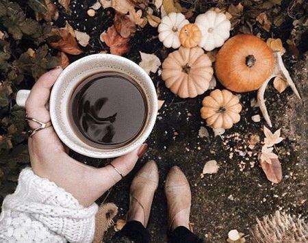عکس قهوه در طبیعت