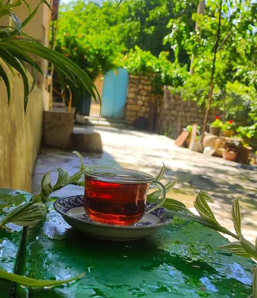 عکس قهوه در طبیعت
