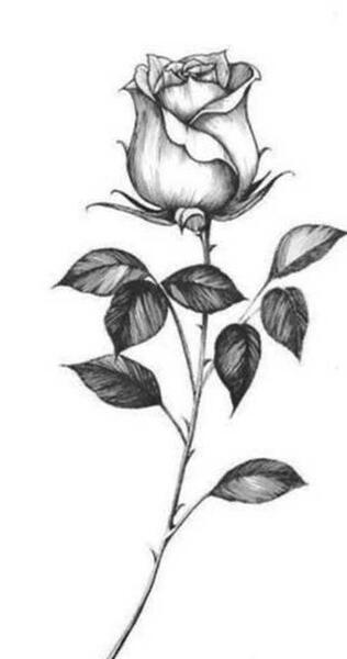 عکس نقاشی طبیعی دختر