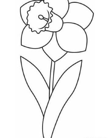 عکس نقاشی طبیعی دختر