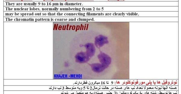 عکس بافت خونی