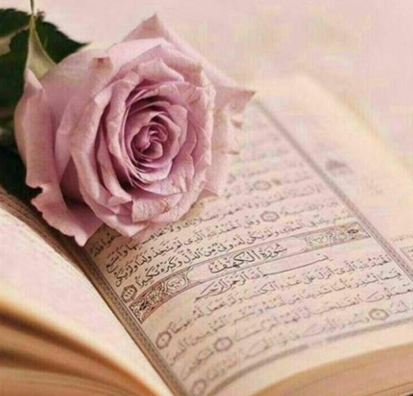 عکس قران و گل رز