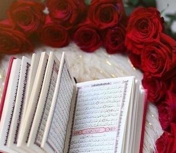 عکس قران و گل رز
