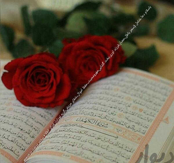 عکس قران و گل رز
