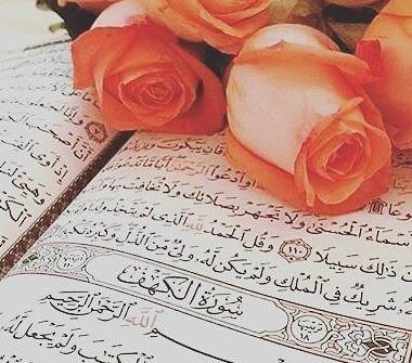 عکس قران و گل رز