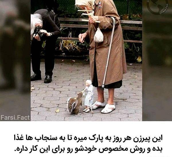 عکس پروفایل با حیوانات