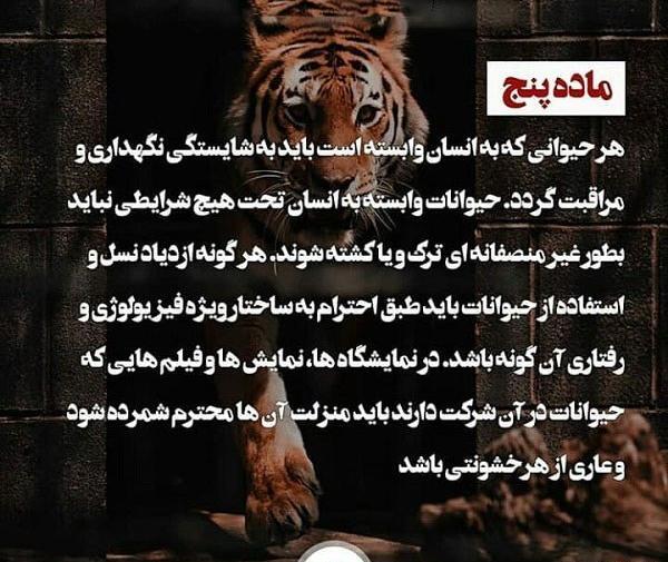 عکس پروفایل با حیوانات