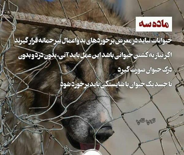 عکس پروفایل با حیوانات