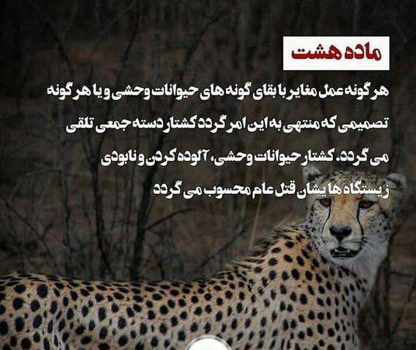 عکس پروفایل با حیوانات