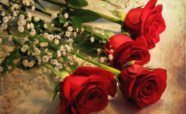 عکس از گلهای رز زیبا