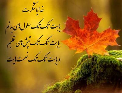 عکس پروفایل زیبا تشکر از خدا