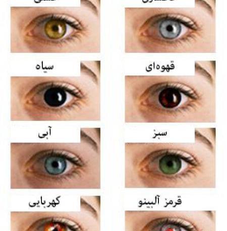 عکس چشم طوسی