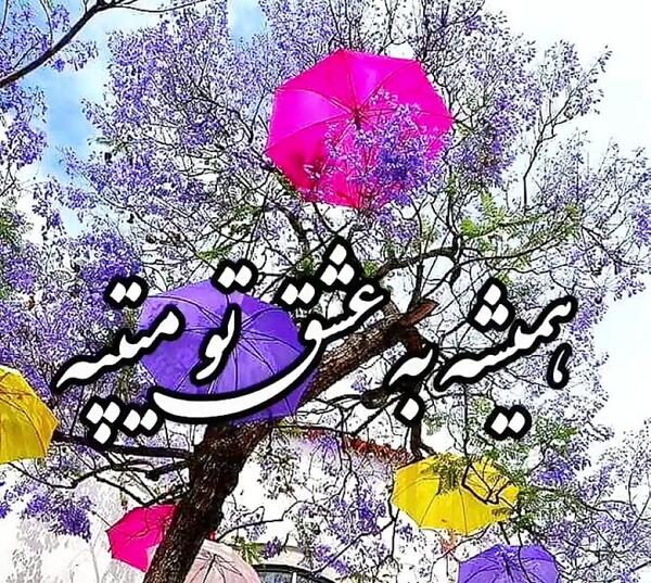 عکس نوشته قلبم واسه تو میتپه