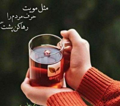 فلسفی عکس نوشته پند آموز