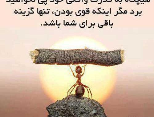 فلسفی عکس نوشته پند آموز