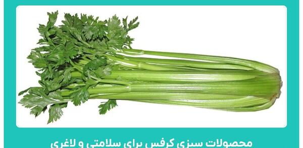عکس با کیفیت کرفس