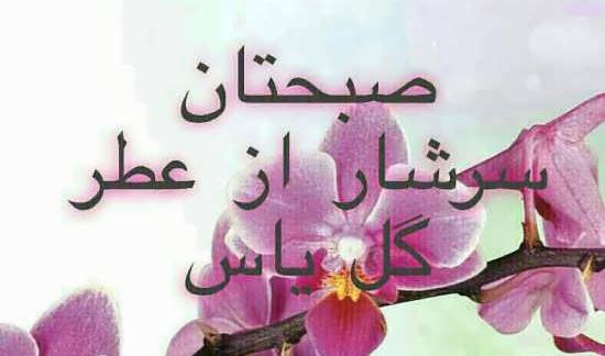 عکس نوشته های شاد صبح بخیر