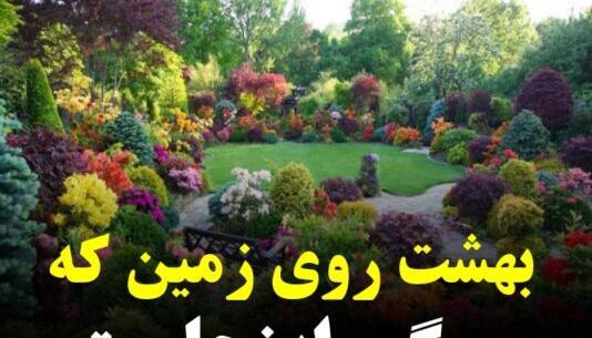 عروسی عکس بهشت واقعی