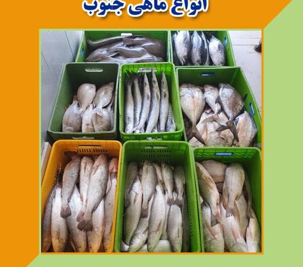 عکس باب اسفنجی عاشقانه