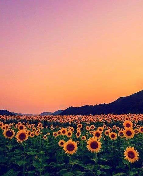 عکس کلبه پاییزی زیبا