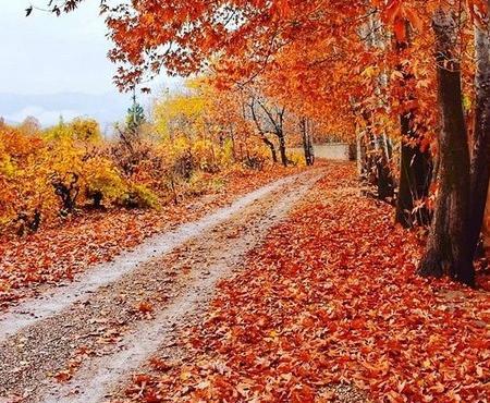 عکس کلبه پاییزی زیبا