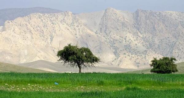 عکس کلبه پاییزی زیبا