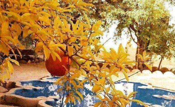 عکس کلبه پاییزی زیبا