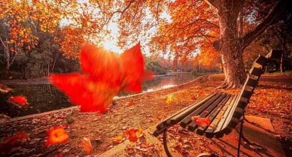 عکس کلبه پاییزی زیبا