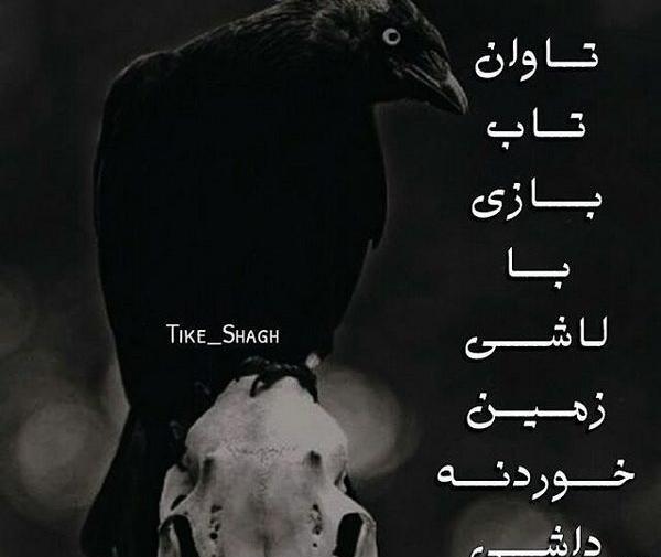 عکس نوشته شاخ برای پروفایل