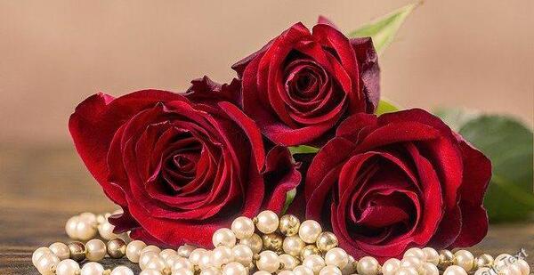 عکس پیام تبریک روز زن عاشقانه