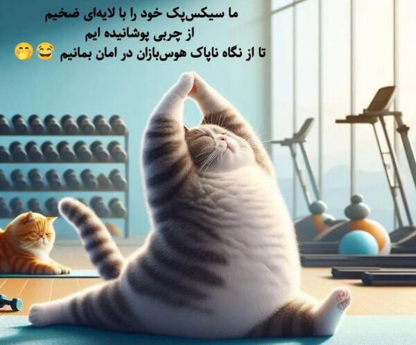 عکس نوشته خنده دار گربه