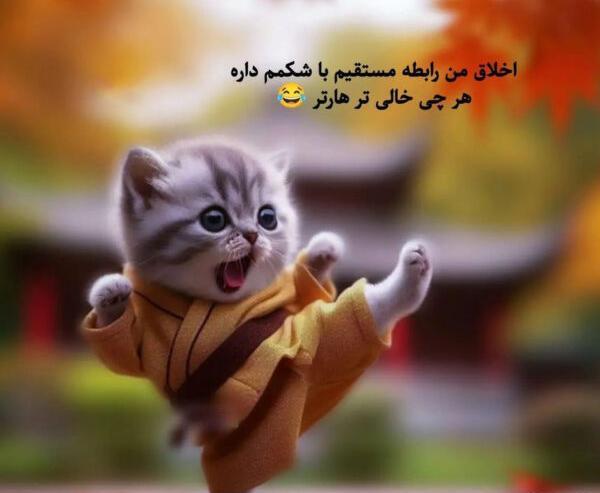 عکس نوشته خنده دار گربه