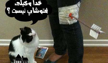 عکس نوشته خنده دار گربه
