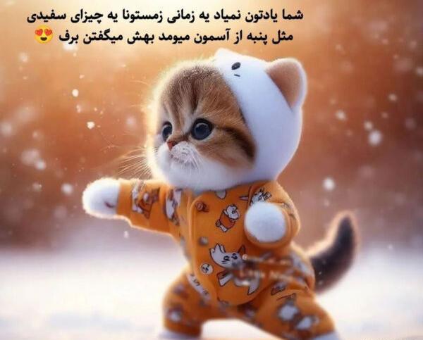 عکس نوشته خنده دار گربه