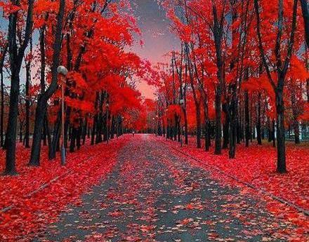 عکس جالب از طبیعت رویایی