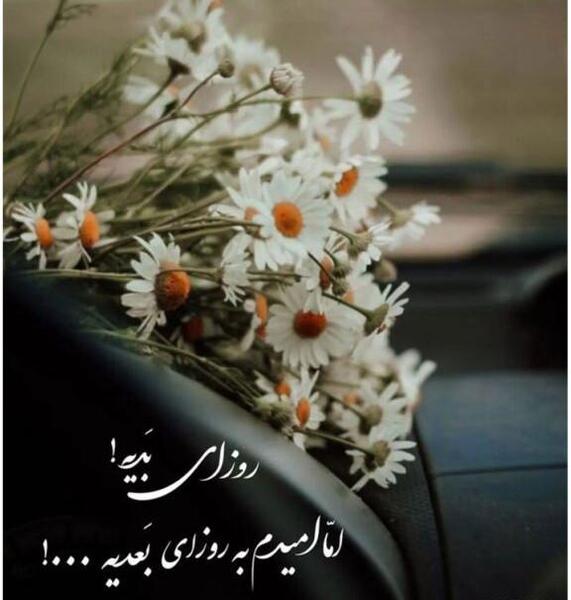 عکس پروفایل هوای همو داشتن