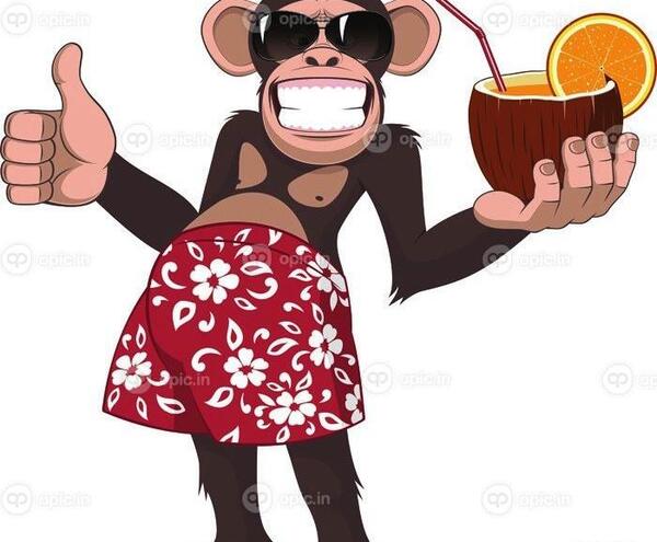 عکس لبخند شامپانزه