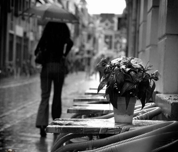 عکس های بارش