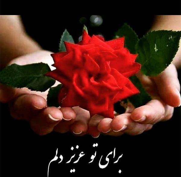 عکس نوشته زیبا همراه با گل