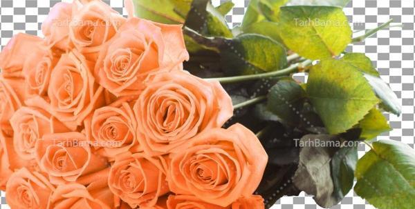 عکس کاشت ناخن گلبهی