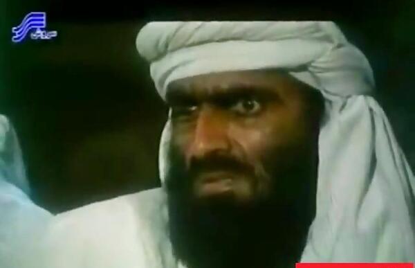 عکس گرگ زن