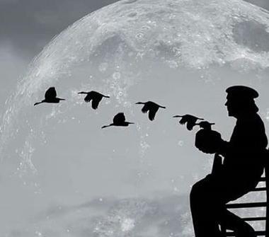عکس سیاه مفهومی