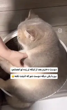 عکس ویلای صورتی
